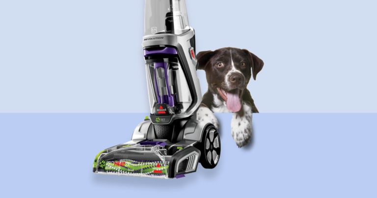 Bissell Proheat 2x Revolution Pet Review